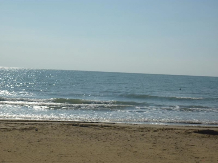 zobacz camping - zdjęcie 28