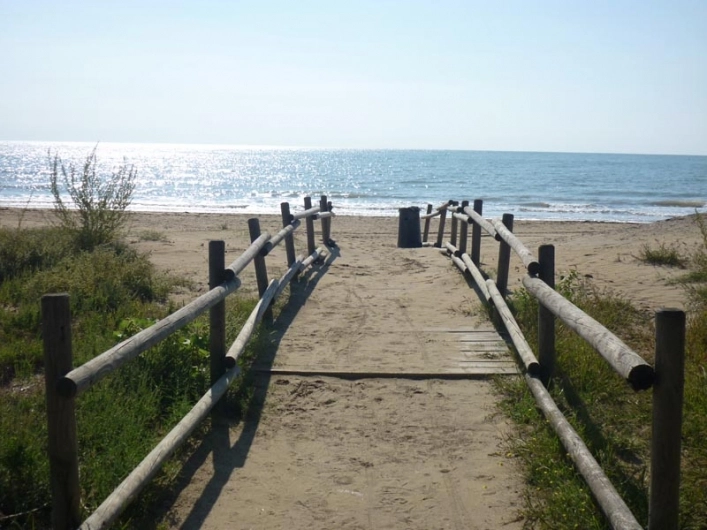 zobacz camping - zdjęcie 27