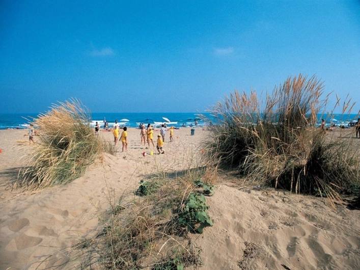 zobacz camping - zdjęcie 23