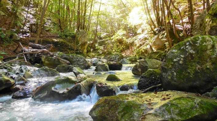 zobacz camping - zdjęcie 14