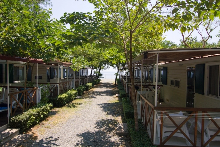 zobacz camping - zdjęcie 19