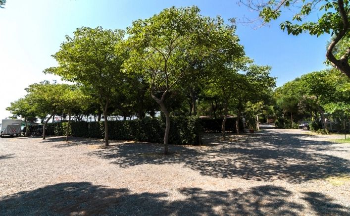 zobacz camping - zdjęcie 17