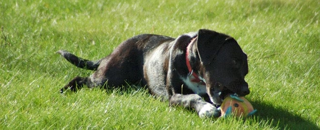 zobacz camping - zdjęcie 14