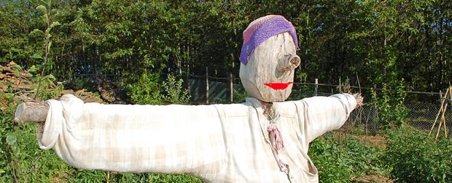 zobacz camping - zdjęcie 9