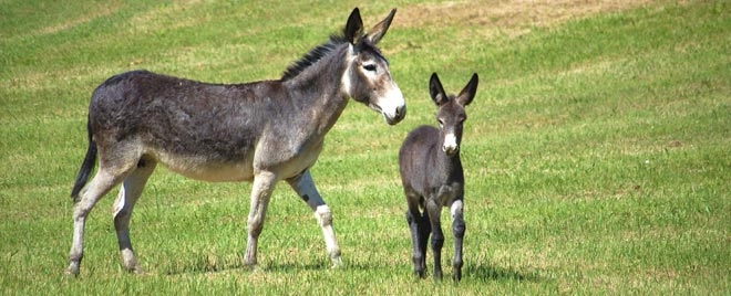 zobacz camping - zdjęcie 8