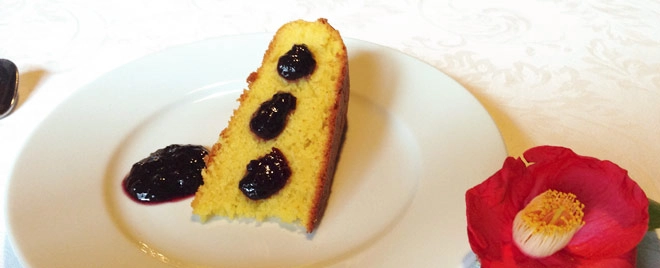 zobacz camping - zdjęcie 7