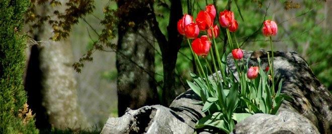 zobacz camping - zdjęcie 4