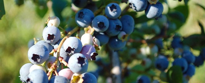 zobacz camping - zdjęcie 3