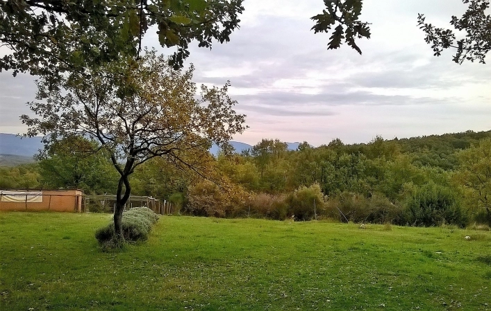 zobacz camping - zdjęcie 10