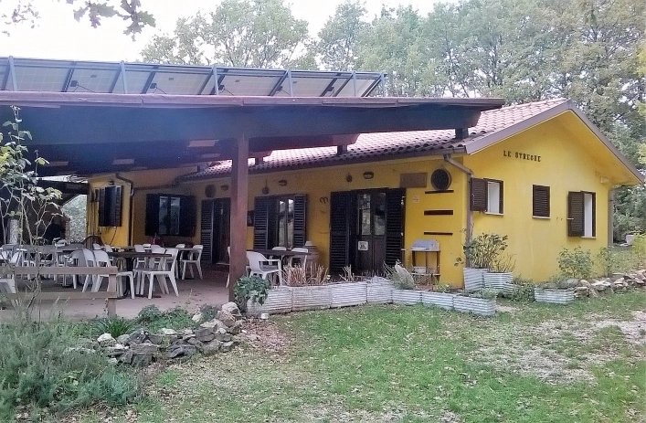 zobacz camping - zdjęcie 8