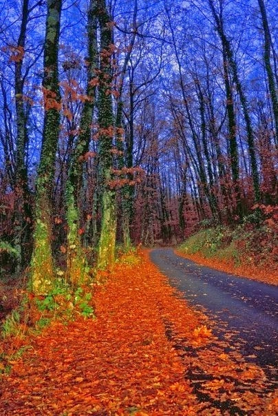 zobacz camping - zdjęcie 5