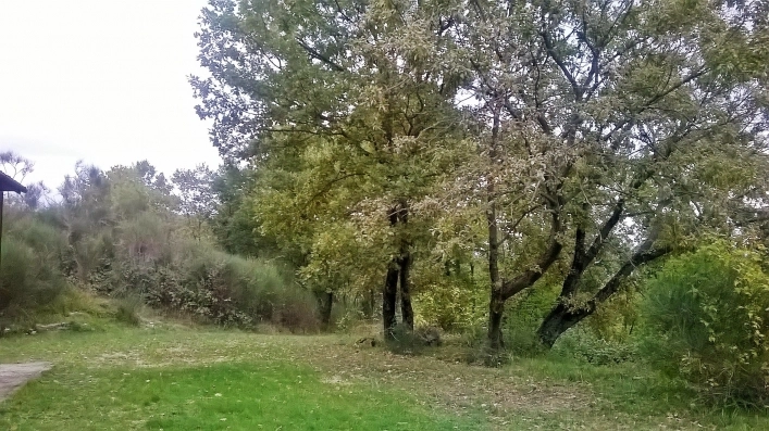 Le Streghe Agriturismo - zdjęcie 3