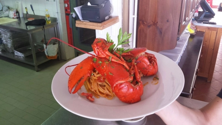 zobacz camping - zdjęcie 16