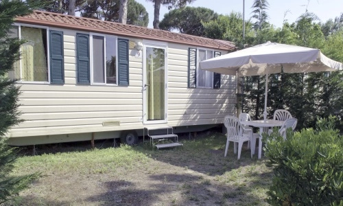 zobacz camping - zdjęcie 23