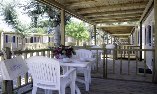 zobacz camping - zdjęcie 21