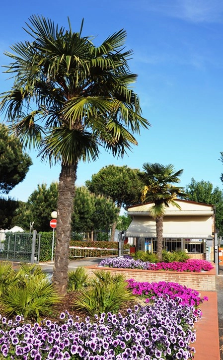 zobacz camping - zdjęcie 18