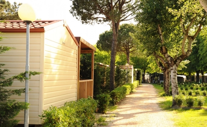 zobacz camping - zdjęcie 13