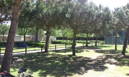 zobacz camping - zdjęcie 5