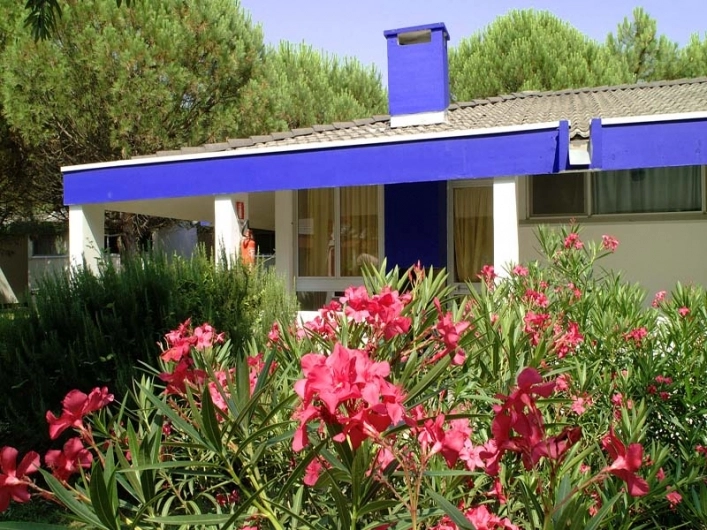 zobacz camping - zdjęcie 29