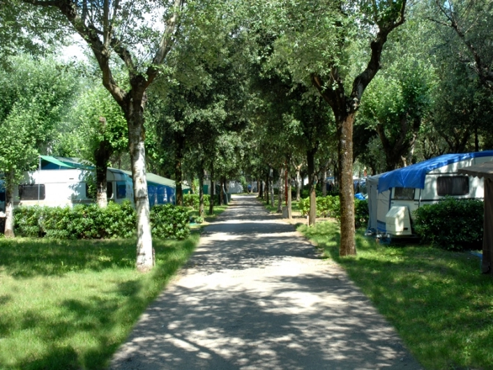 zobacz camping - zdjęcie 12