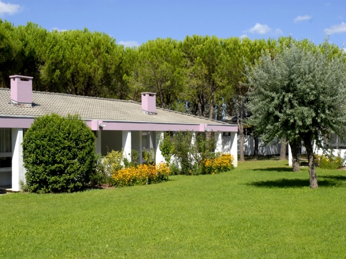 zobacz camping - zdjęcie 8