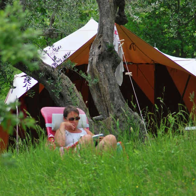 zobacz camping - zdjęcie 12