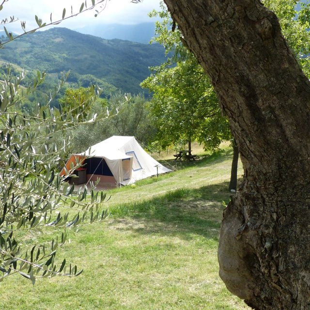 zobacz camping - zdjęcie 8