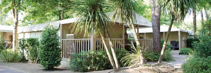 zobacz camping - zdjęcie 14