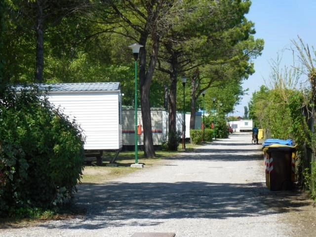 Camping Sonja - zdjęcie 1