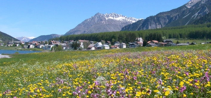 zobacz camping - zdjęcie 17