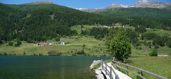 zobacz camping - zdjęcie 2