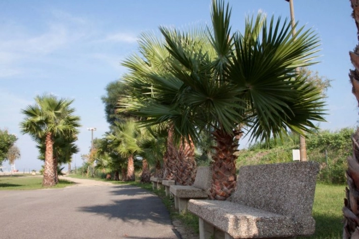 zobacz camping - zdjęcie 16