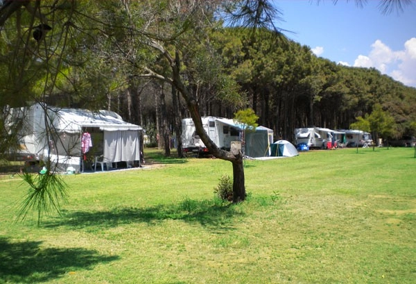 zobacz camping - zdjęcie 12