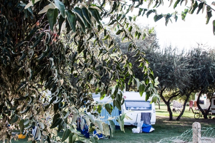 zobacz camping - zdjęcie 8