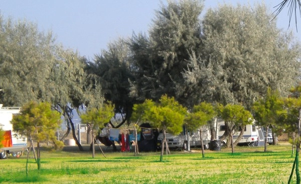 zobacz camping - zdjęcie 4