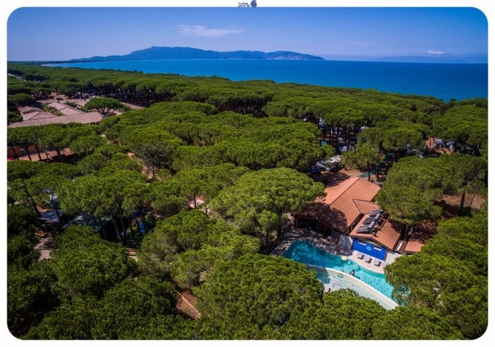 zobacz camping - zdjęcie 17