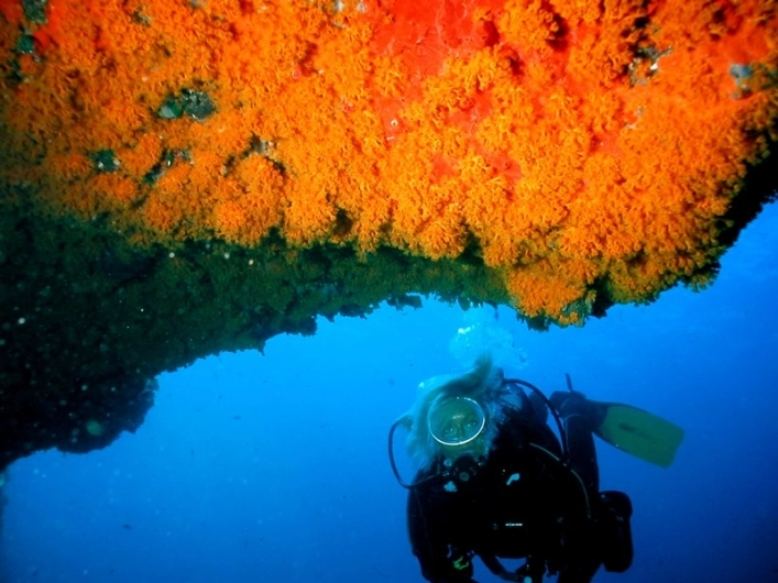 zobacz camping - zdjęcie 4