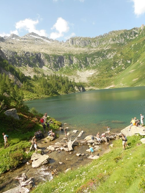 zobacz camping - zdjęcie 15