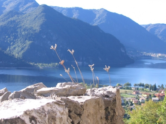 zobacz camping - zdjęcie 10