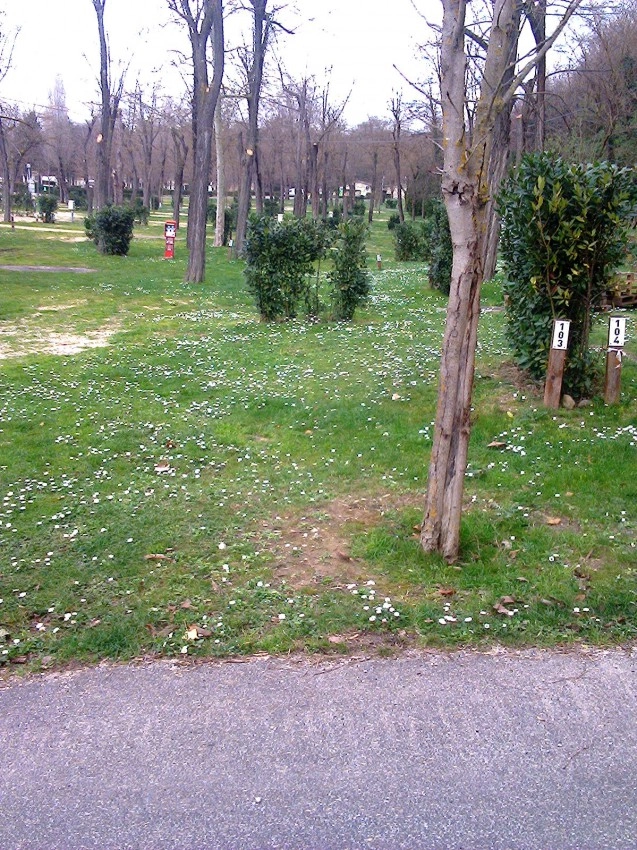 zobacz camping - zdjęcie 47