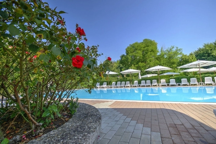 zobacz camping - zdjęcie 42