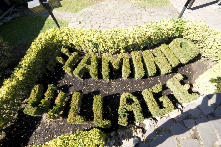 zobacz camping - zdjęcie 41