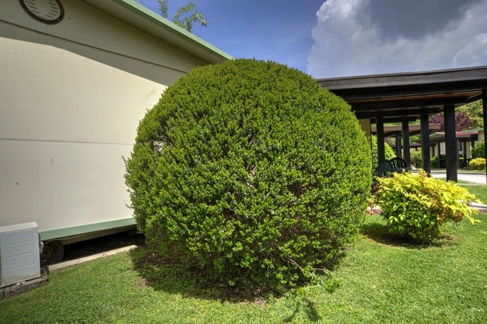 zobacz camping - zdjęcie 39