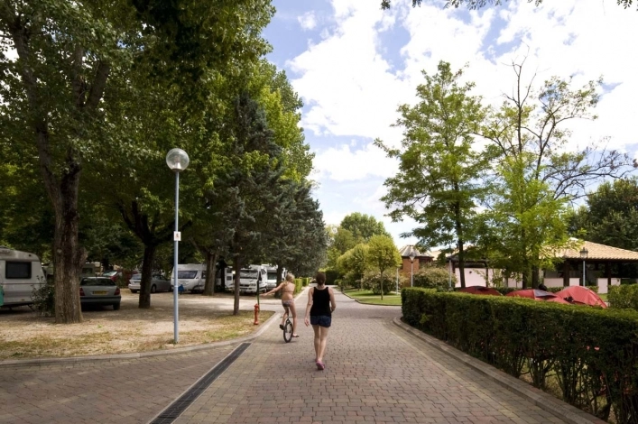 zobacz camping - zdjęcie 36