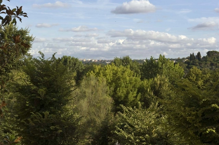 zobacz camping - zdjęcie 21