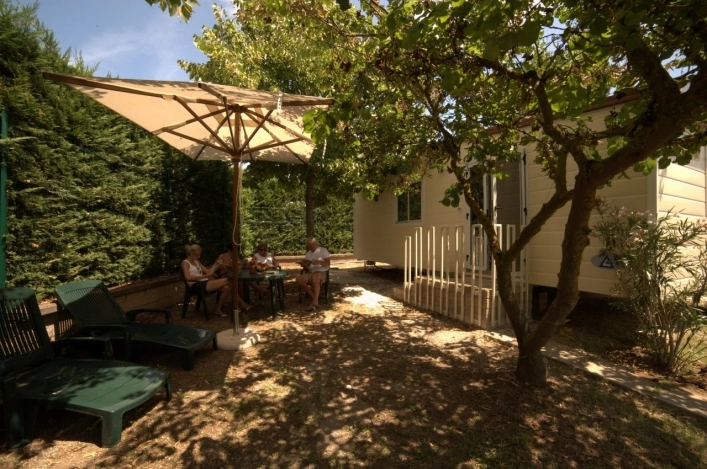 zobacz camping - zdjęcie 17