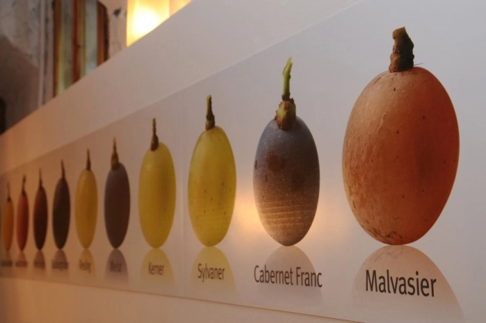 zobacz camping - zdjęcie 16