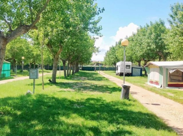 zobacz camping - zdjęcie 10