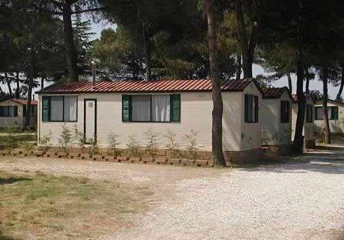 zobacz camping - zdjęcie 11