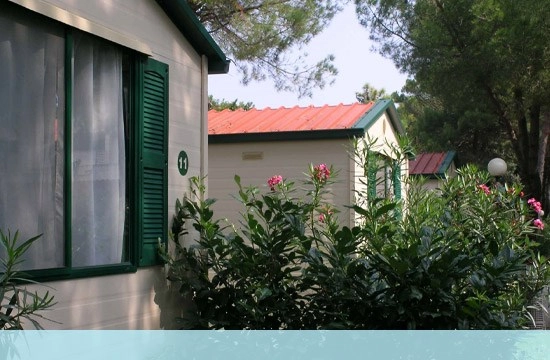 zobacz camping - zdjęcie 9